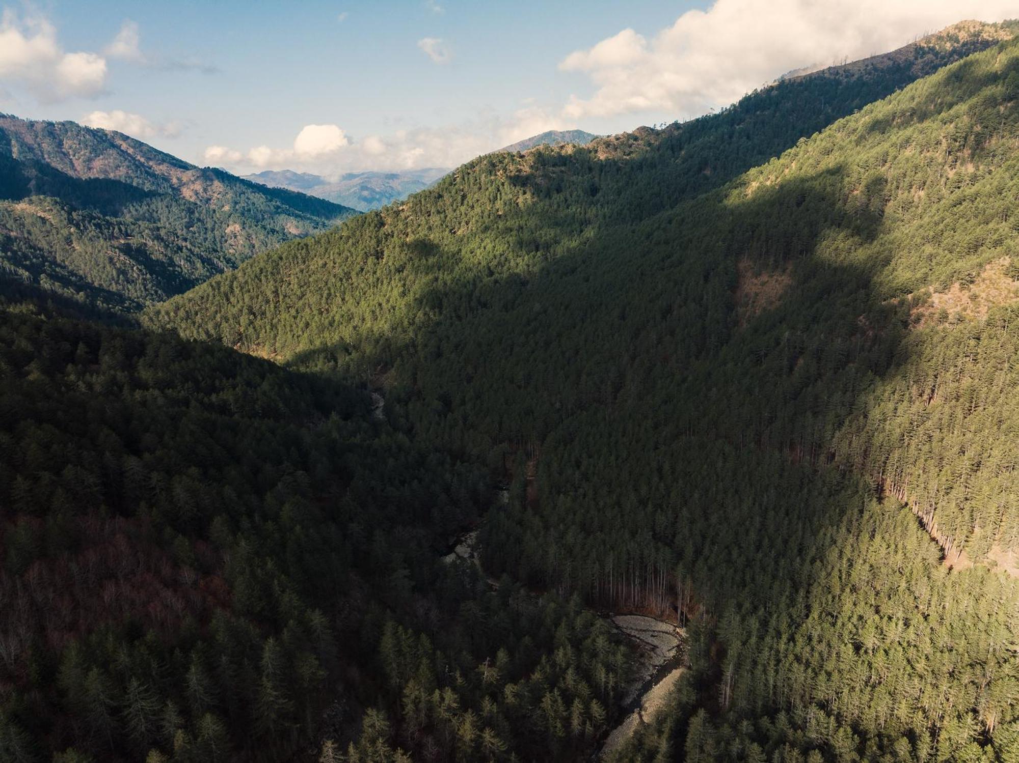 Grand Forest Metsovo - Small Luxury Hotels Of The World Exterior foto